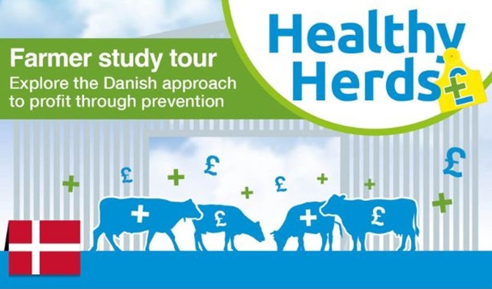 Healthy Herds: Farmer study tour